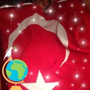 Meet your Posher, Sevim